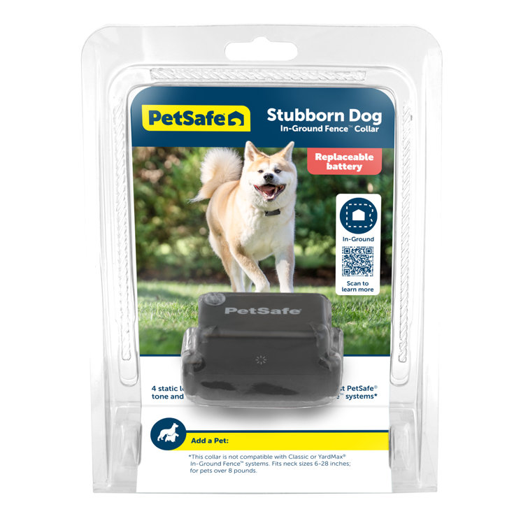 Stubborn dog cheap bark collar